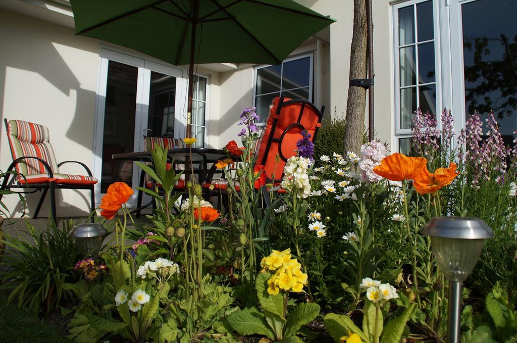 Olive House Bed And Breakfast Крайстчърч Екстериор снимка